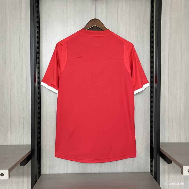 Camisola Inglaterra 2010 Alternativa