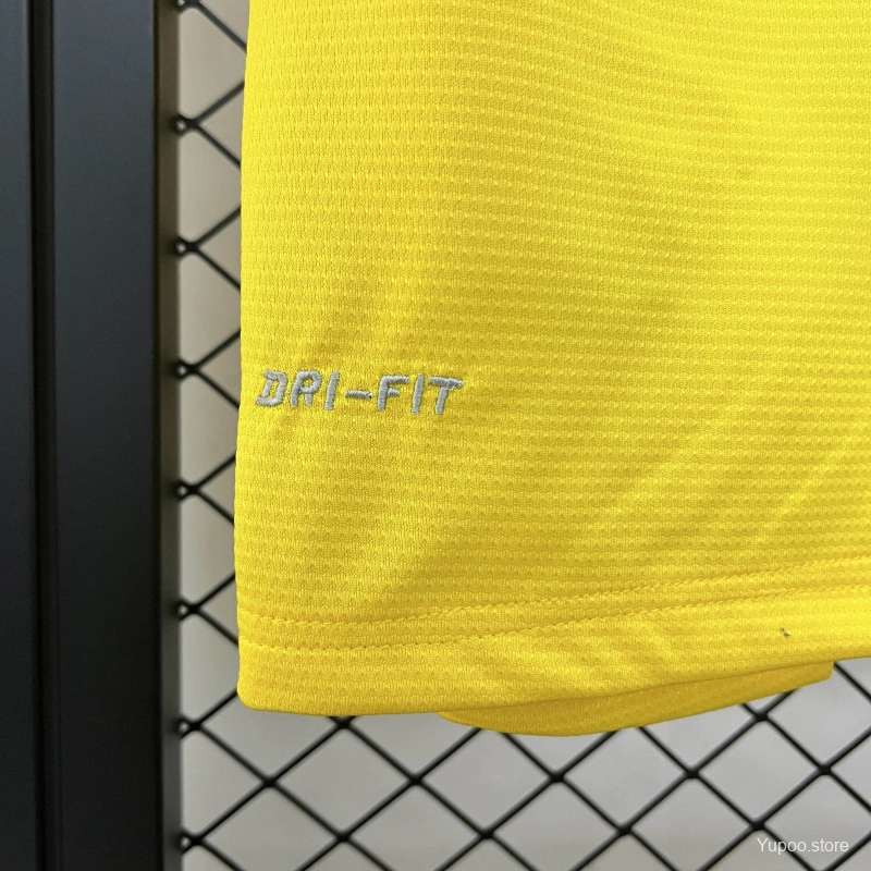 Camisola ARS 2013-14 Alternativa