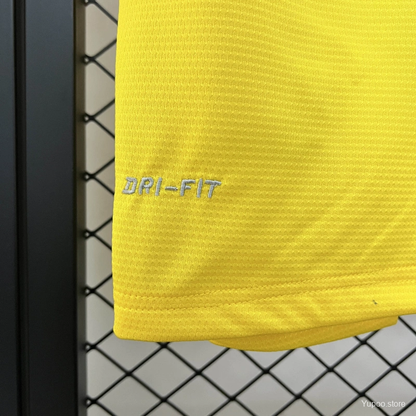 Camisola ARS 2013-14 Alternativa