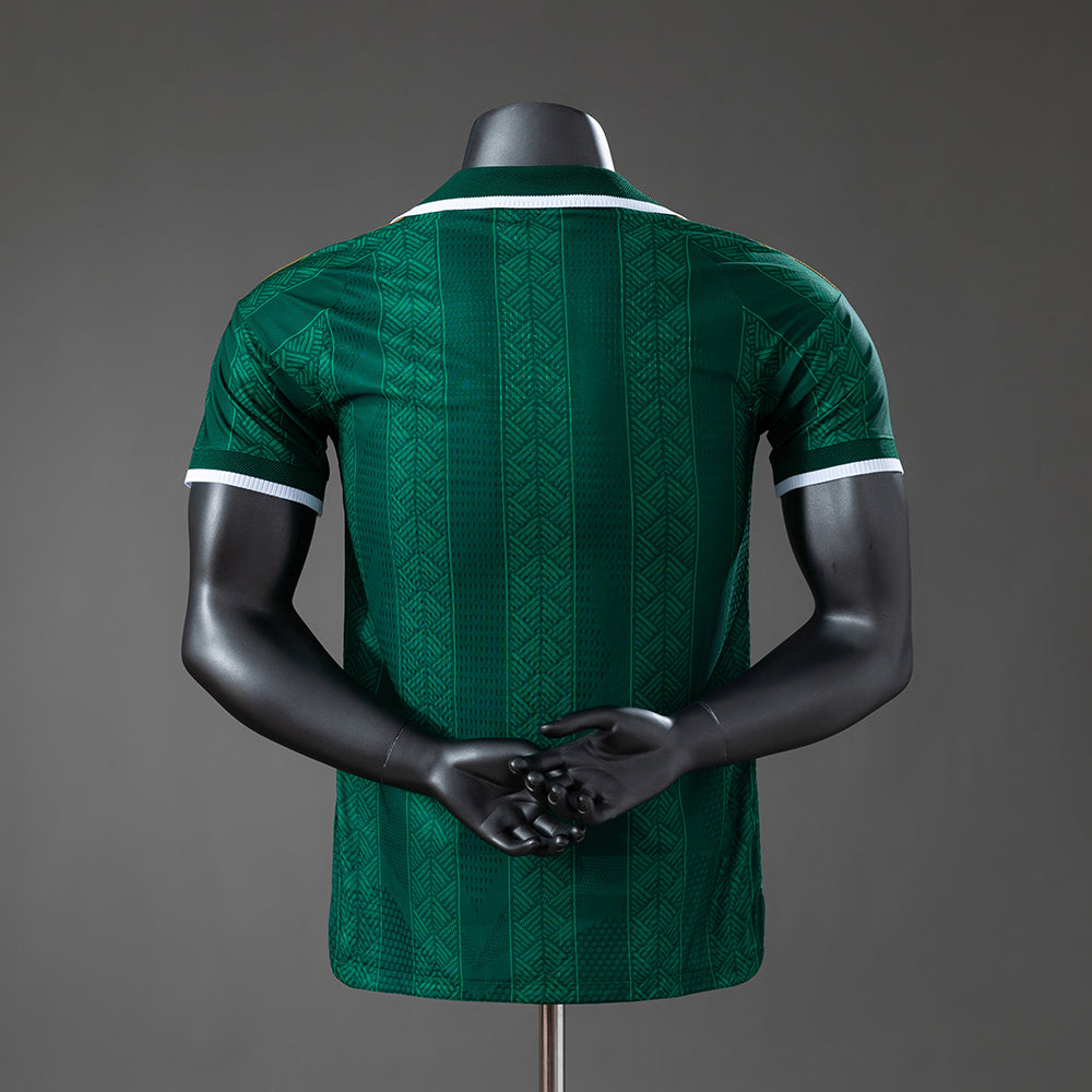 Camisola Africa do Sul 2026 Alternativa Verde Versão Jogador
