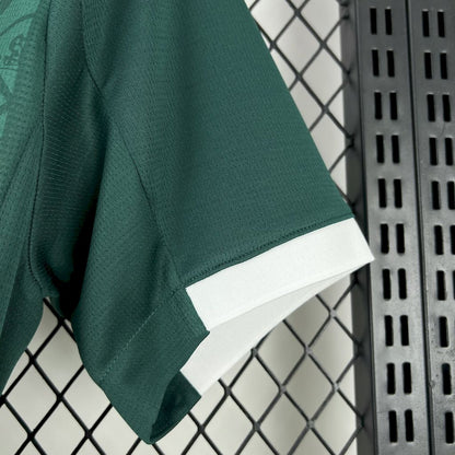 Camisola Plymouth Argyle 2025-26 Principal Versão Adepto