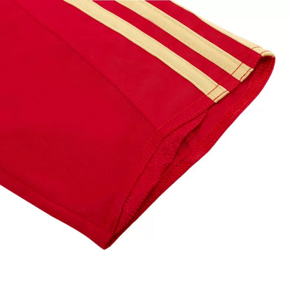 Camisola Espanha 2008 Principal