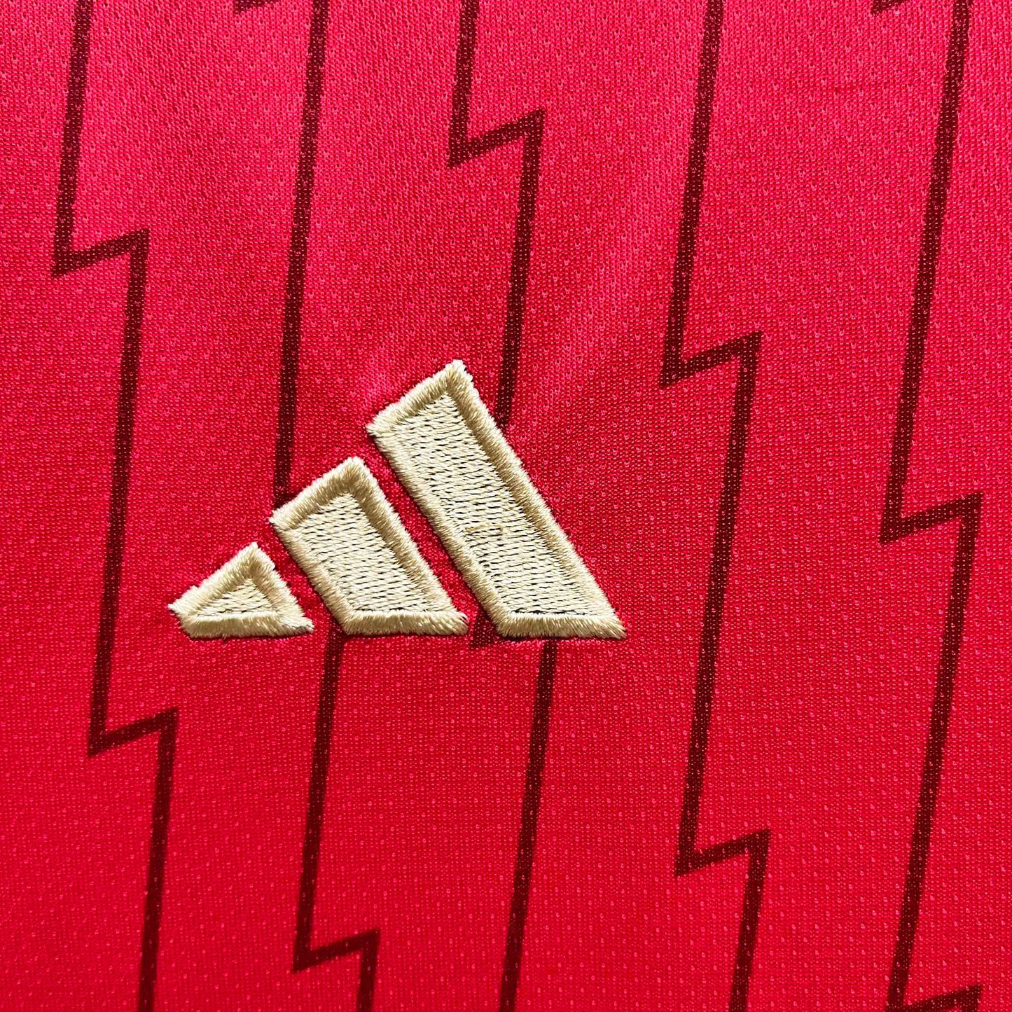 Camisola Manga Comprida ARS 2023-24 Principal