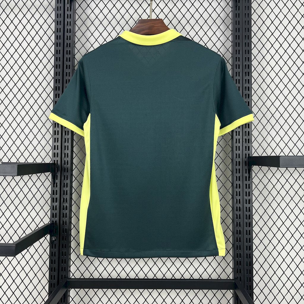 Camisola FC Barcelona 2024-25 Treino Versão Adepto