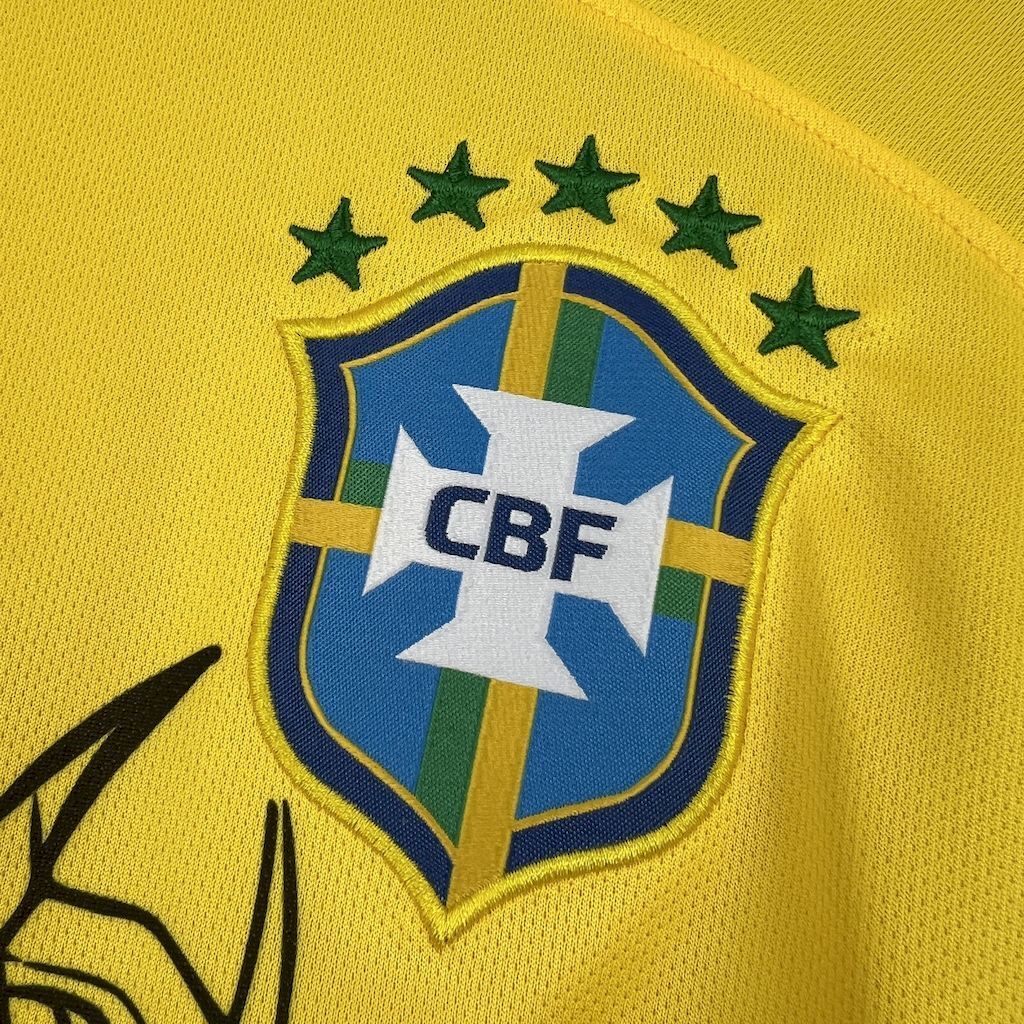 Camisola Brasil 2025 Edição Especial Versão Adepto