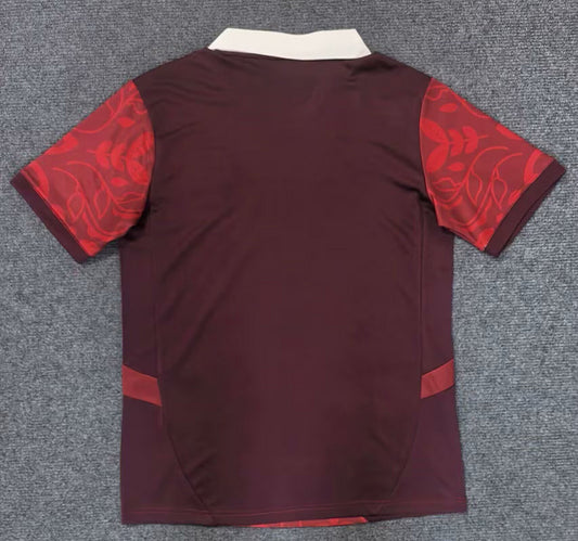 Camisola Portugal 2025 Edição Especial Versão Adepto
