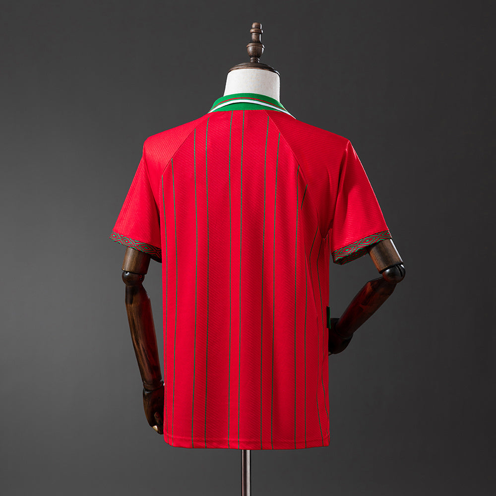 Camisola Pais de Gales 1994 Principal