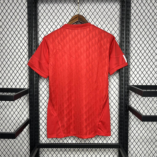 Camisola LIV 2010-11 Principal