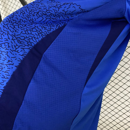 Camisola Brasil 2025 Edição Especial Versão Adepto