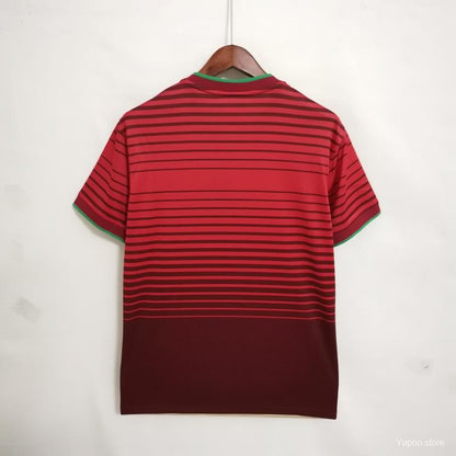 Camisola Portugal 2014 Principal