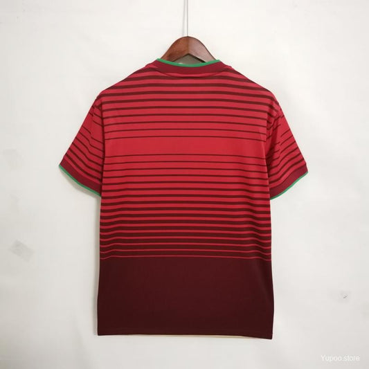 Camisola Portugal 2014 Principal