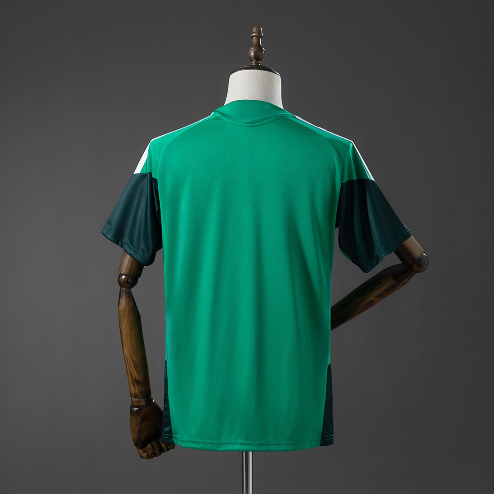 Camisola Argelia 2026 Treino Versão Adepto