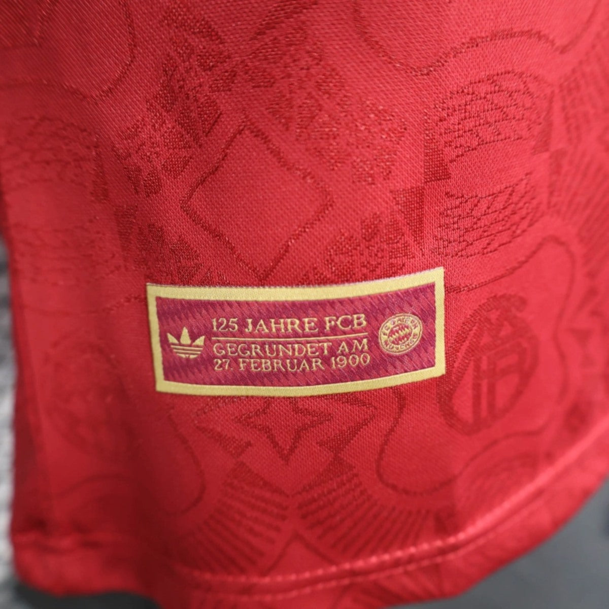 Camisola Manga Comprida FC Bayern Munique 2024-25 Edição 125º Aniversario  Versão Jogador