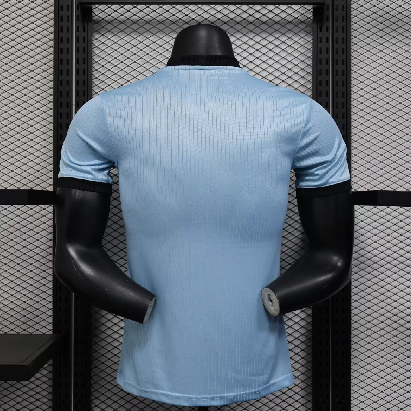 Camisola Alemanha 2025 Edição Especial 125º Aniversario Versão Jogador