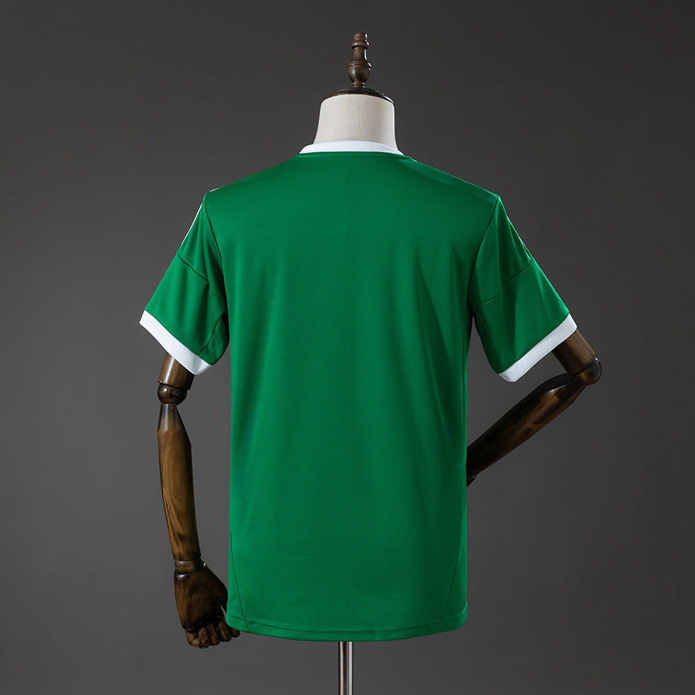 Camisola Alemanha 2012 Alternativa Verde Versão Adepto