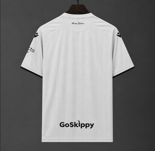 Camisola Bristol City 2026-27 Alternativa Cinzenta Versão Adepto