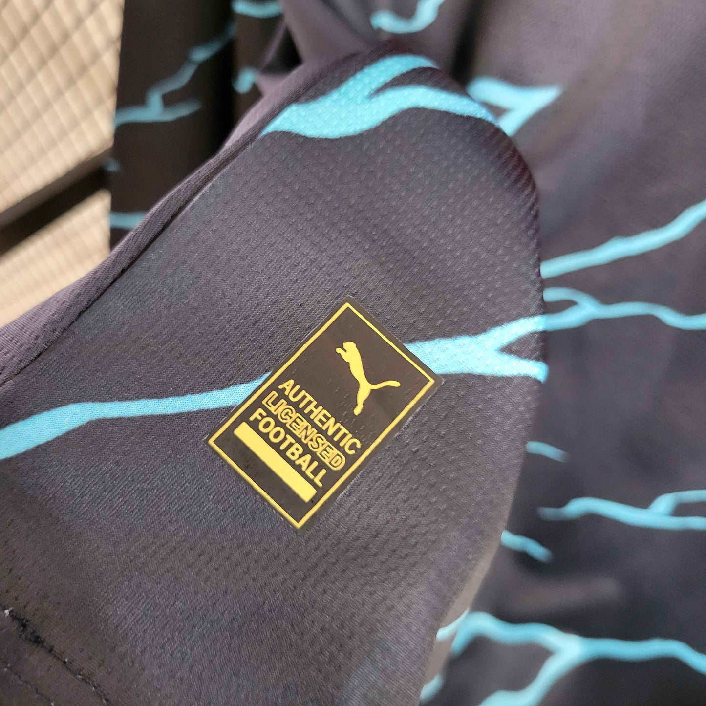 Camisola Manga Comprida MCI 2023-24 Alternativa