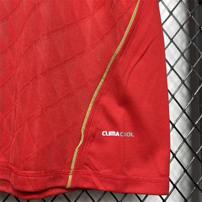 Camisola LIV 2010-11 Principal