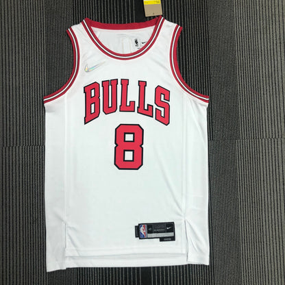 Camisola NBA 2021 Chicago Bulls