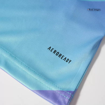 Camisola Manga Comprida ARS 2024-25 Alternativa Azul Versão Adepto