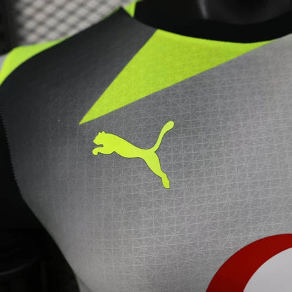 Camisola Borussia Dortmund 2025-26 Alternativa Cinzenta Versão Jogador