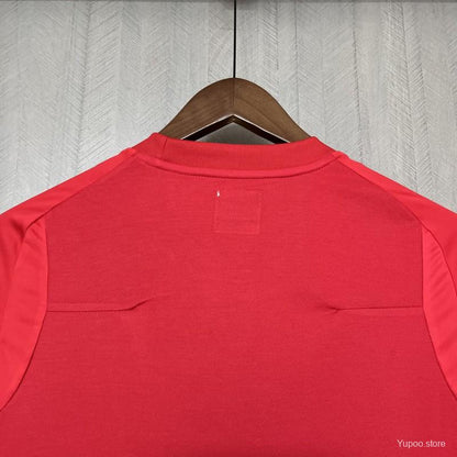 Camisola Inglaterra 2010 Alternativa