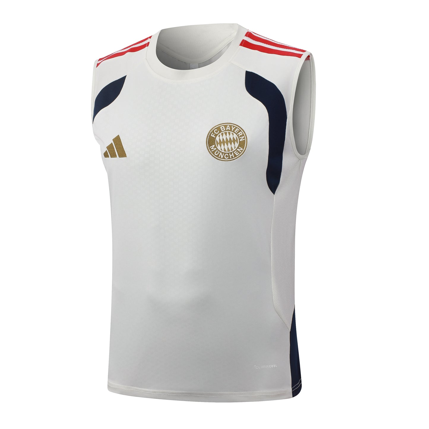 Kit Treino Manga Cava FC Bayern Munique 2026-27