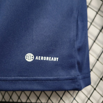 Camisola Manga Comprida AFC Ajax 2022-23 Alternativa