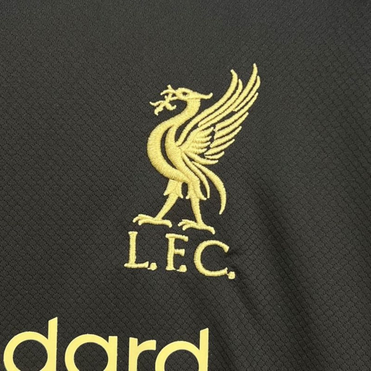 Camisola LIV 2025-26 Edição Especial Versão Adepto