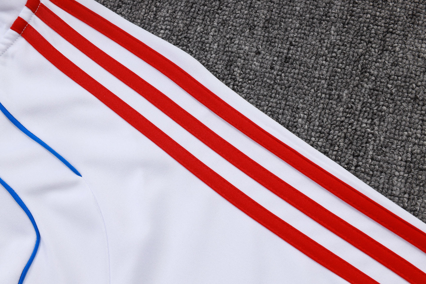 Fato de Treino FC Bayern Munique 2025-26 - Camisola com Fecho
