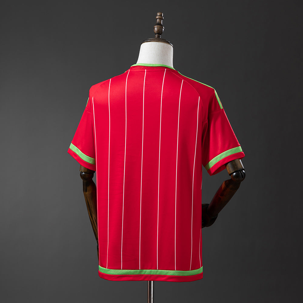 Camisola Pais de Gales 2015 Principal