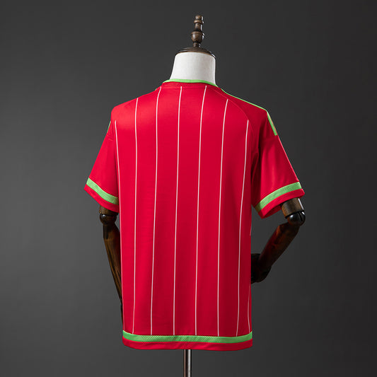 Camisola Pais de Gales 2015 Principal