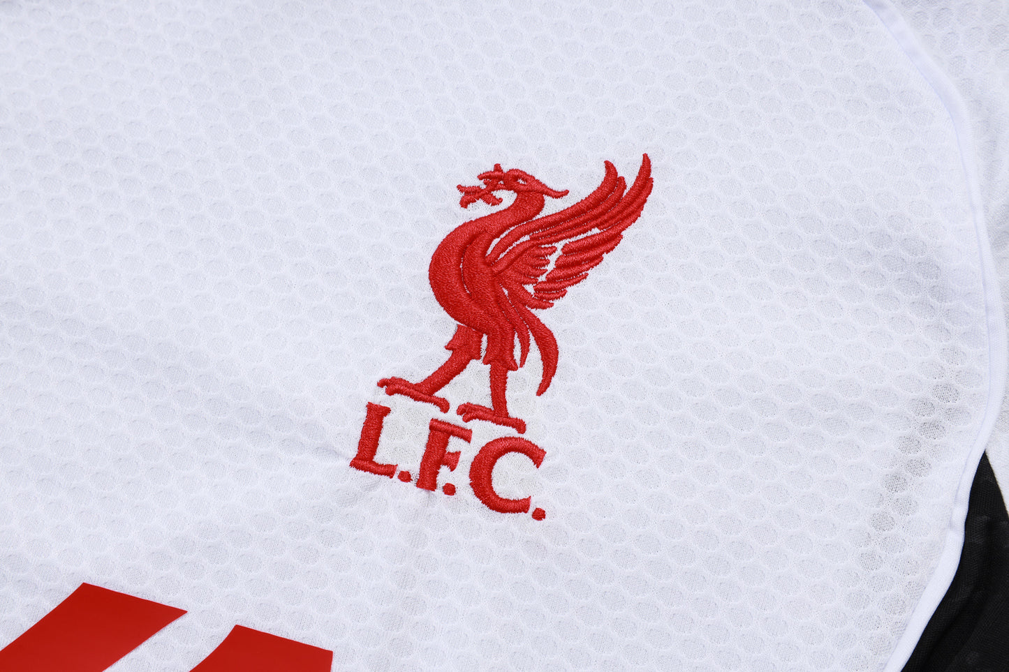 Kit Treino Camisola LIV 2025-26