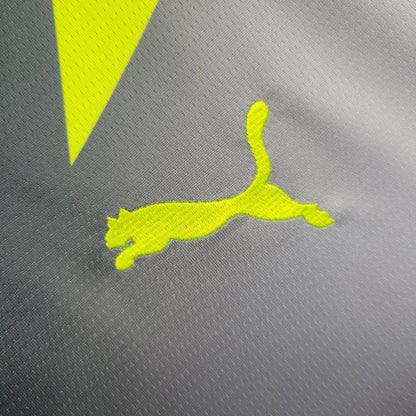 Camisola Borussia Dortmund 2025-26 Alternativa Cinzenta Versão Adepto