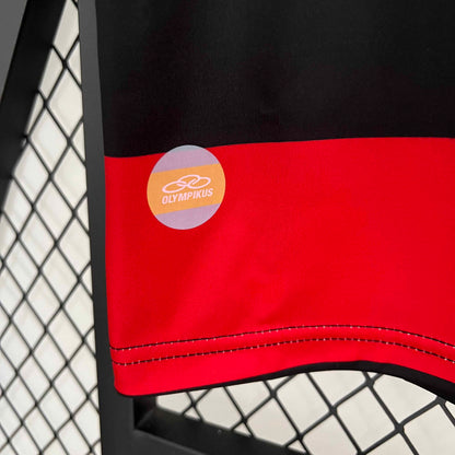 Camisola Flamengo 2010-11 Alternativa