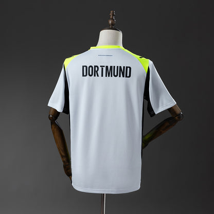 Camisola Borussia Dortmund 2025-26 Alternativa Cinzenta Versão Adepto
