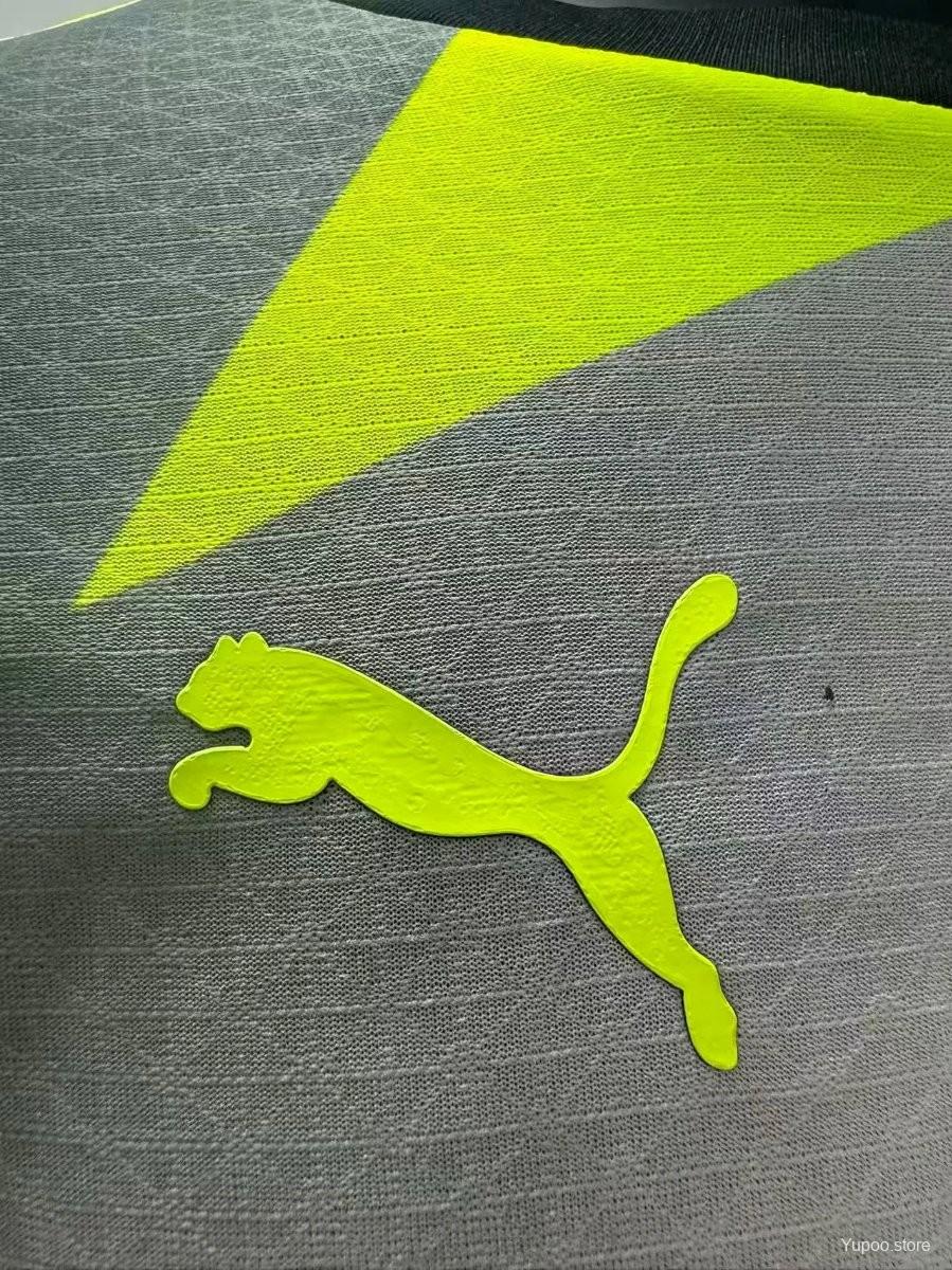 Camisola Borussia Dortmund 2025-26 Alternativa Cinzenta Versão Jogador
